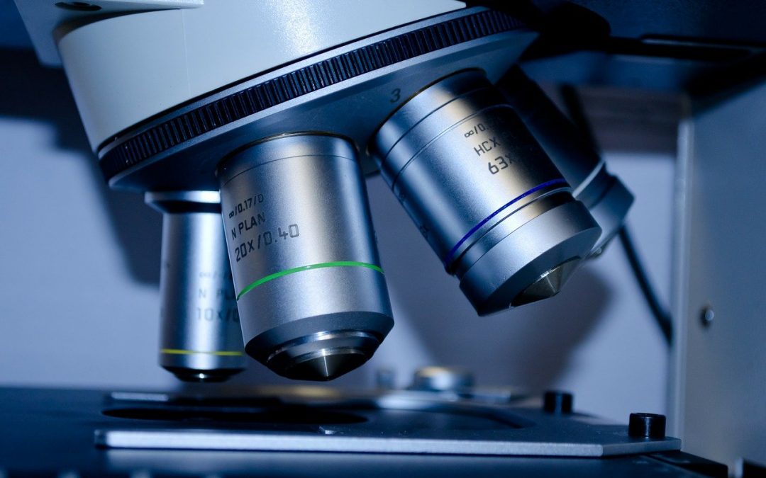 Let&rsquo;s discover our latest open-source scientific articles!